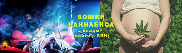 дурь Ельня