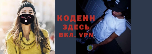 дурь Ельня