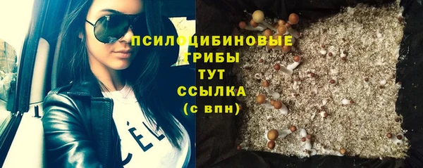 дурь Ельня