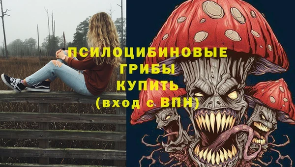 mdma Елизово