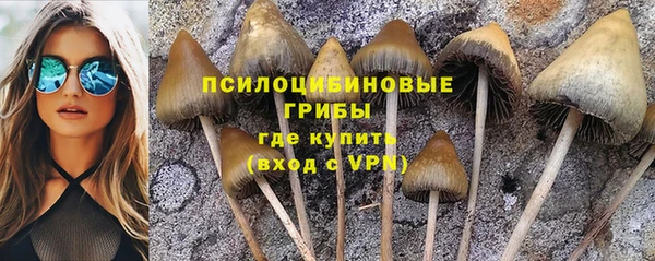 mdma Елизово